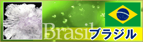 ブラジル入荷