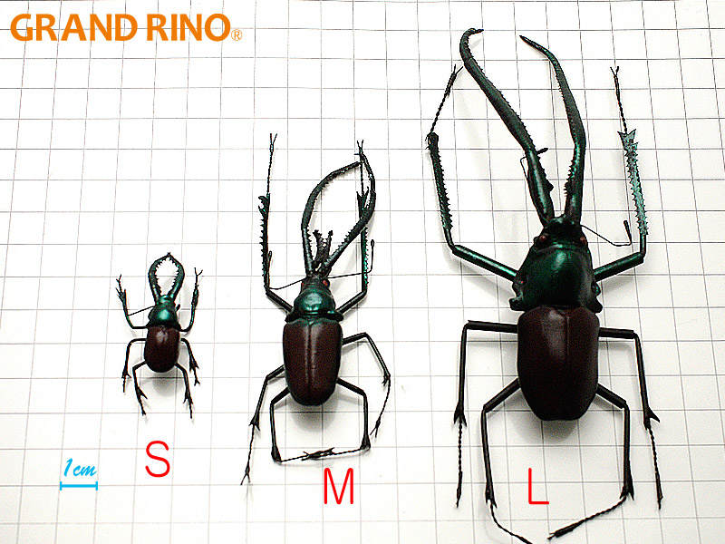 GRAND RINO / 地球のリアル昆虫コレクション 「コガシラクワガタ GRAND RINO / 地球のリアル昆虫コレクション 「コガシラクワガタ