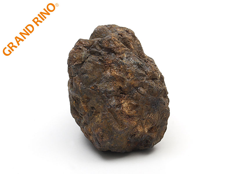 GRAND RINO / 【隕石】パラサイト隕石 (SERICHO)(セリコ) 原石 (証明 