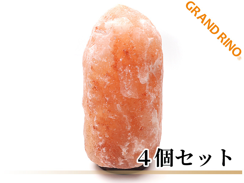 ローズソルト  2A ウッドベース ランプ (4個入)   M(2.5-4KG)